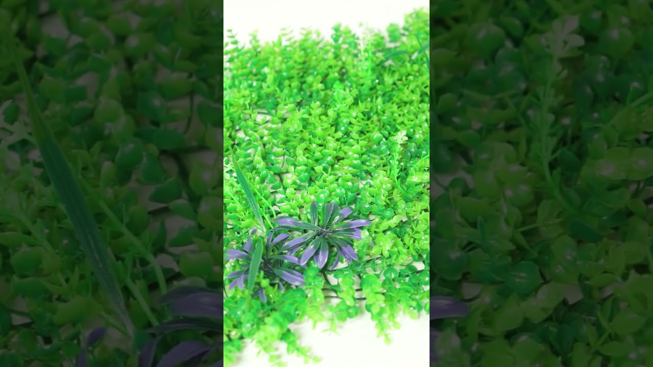 Jardín Vertical Samborombom Sin UV