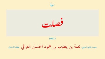 سورة فصلت (٠٤١) نعمة الحسان العراقي - مرتل