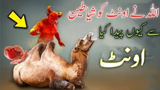 Why did Allah create the camel from devils? | Know the hidden facts of camels in Urdu and Hindi