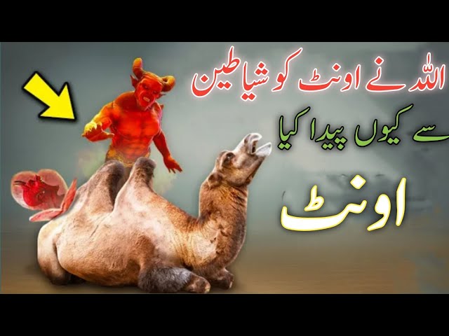 Why did Allah create the camel from devils? | Know the hidden facts of camels in Urdu and Hindi class=