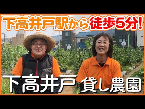 【栽培生活】駅から徒歩5分!下高井戸の懇切丁寧な貸し農園【シェア畑】
