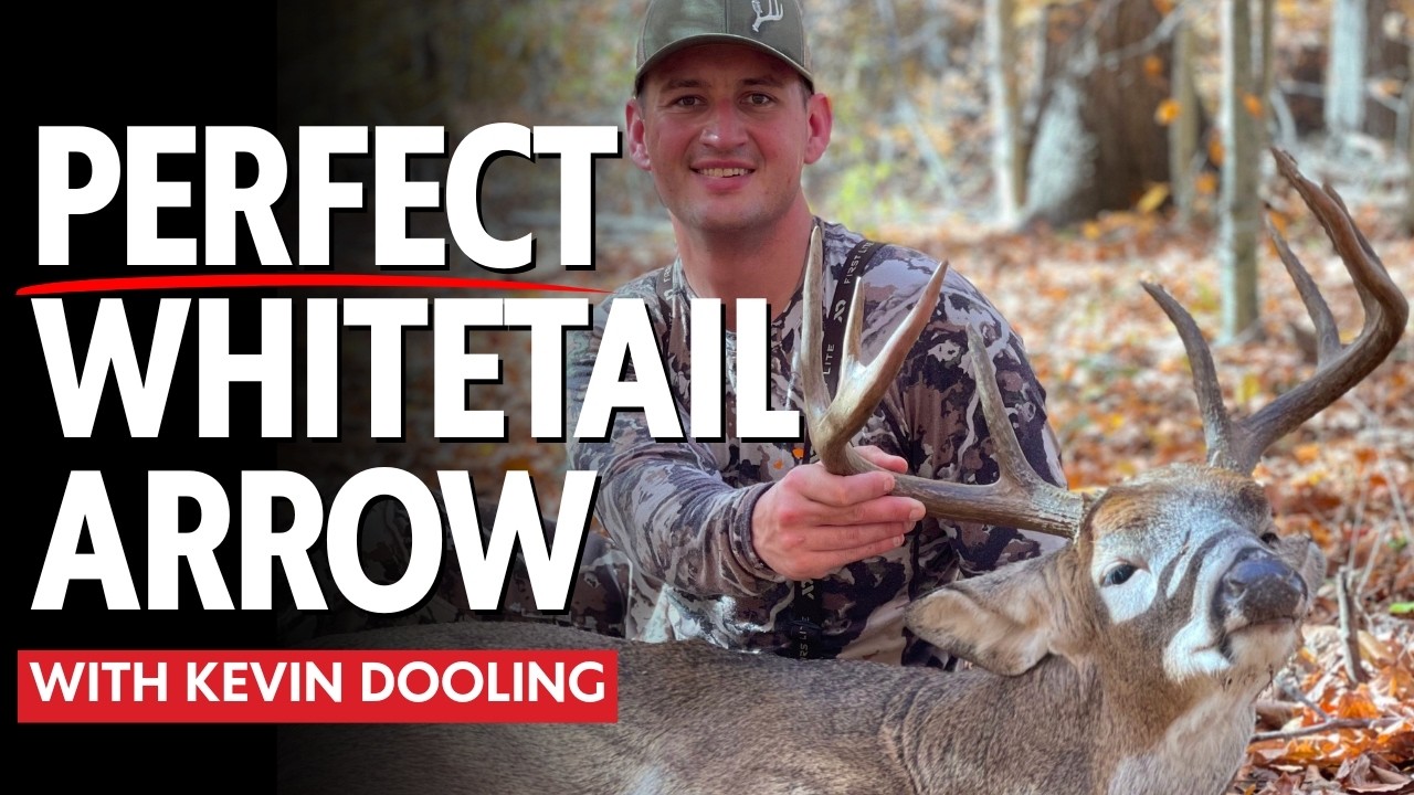 The Best Arrow Setup for Whitetail Hunting? Weight, FOC & Broadheads
