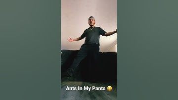 Thumbnail of Not Klyde - Ants In My Pants 😆 #chh #dance #shorts #1vonthetrack #notklyde