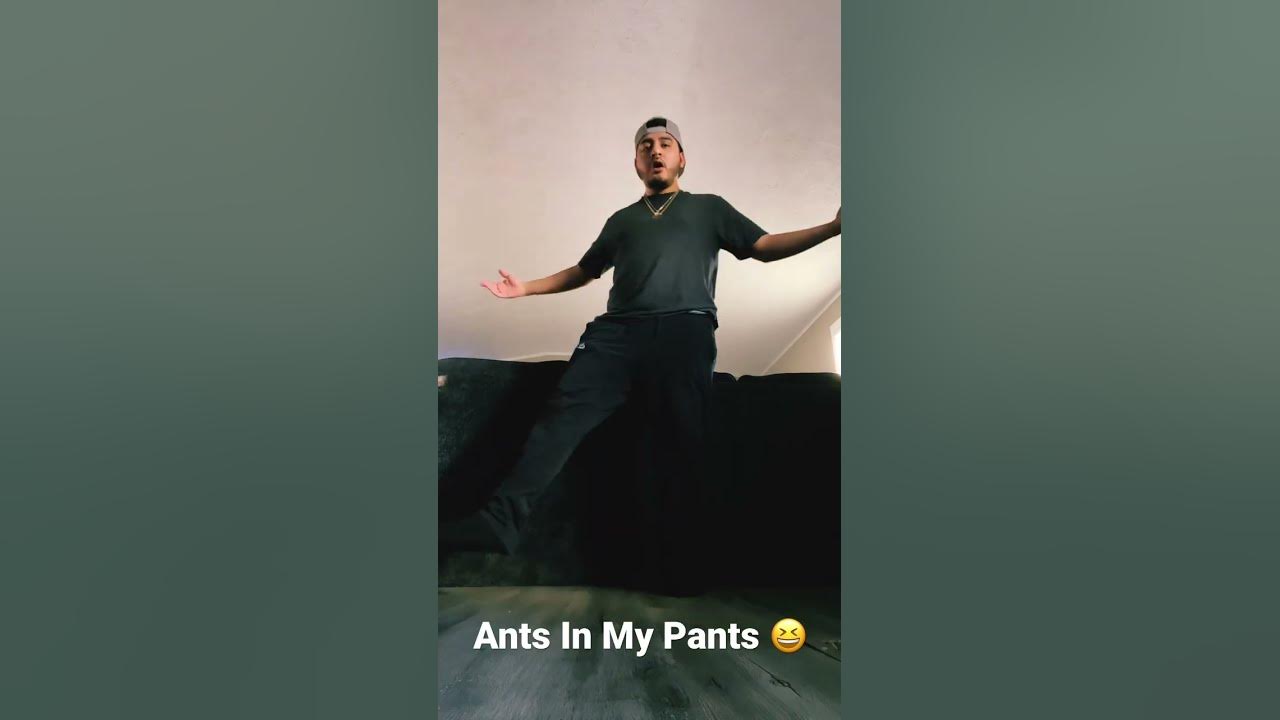 Not Klyde - Ants In My Pants 😆 #chh #dance #shorts #1vonthetrack #notklyde