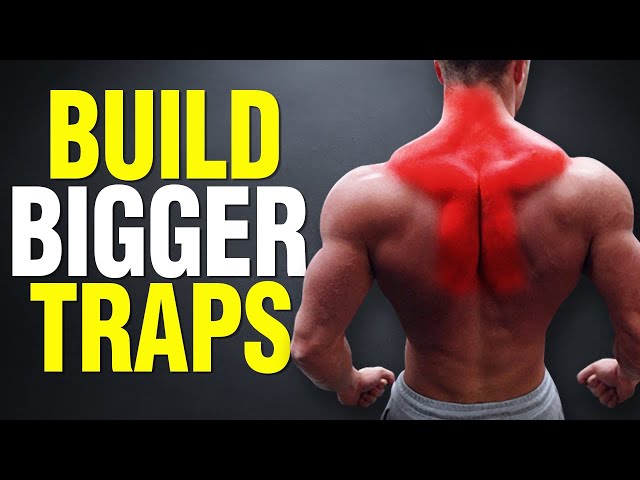 Top 5 Exercises for BIGGER TRAPS! (UPPER/MID/LOWER) - YouTube