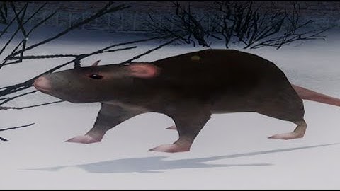 how to hunt and cook food in garrys mod tutorial