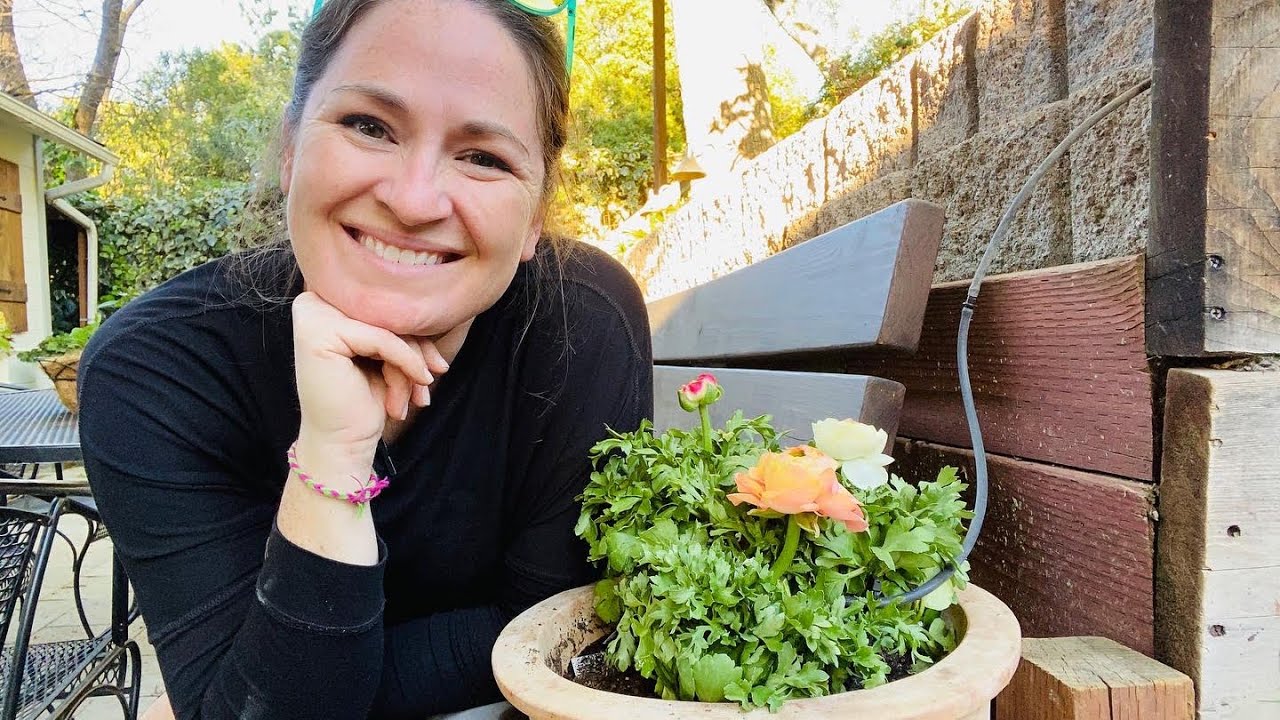 Planting more spring containers in zone 9🌸An edible outdoor table centerpiece and ranunculus