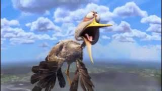 Stork Bird Carrying Baby - Flamingovideo