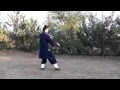 Wudang tai chi 13 postures