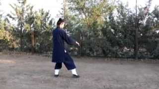 Wudang Tai Chi 13 Postures