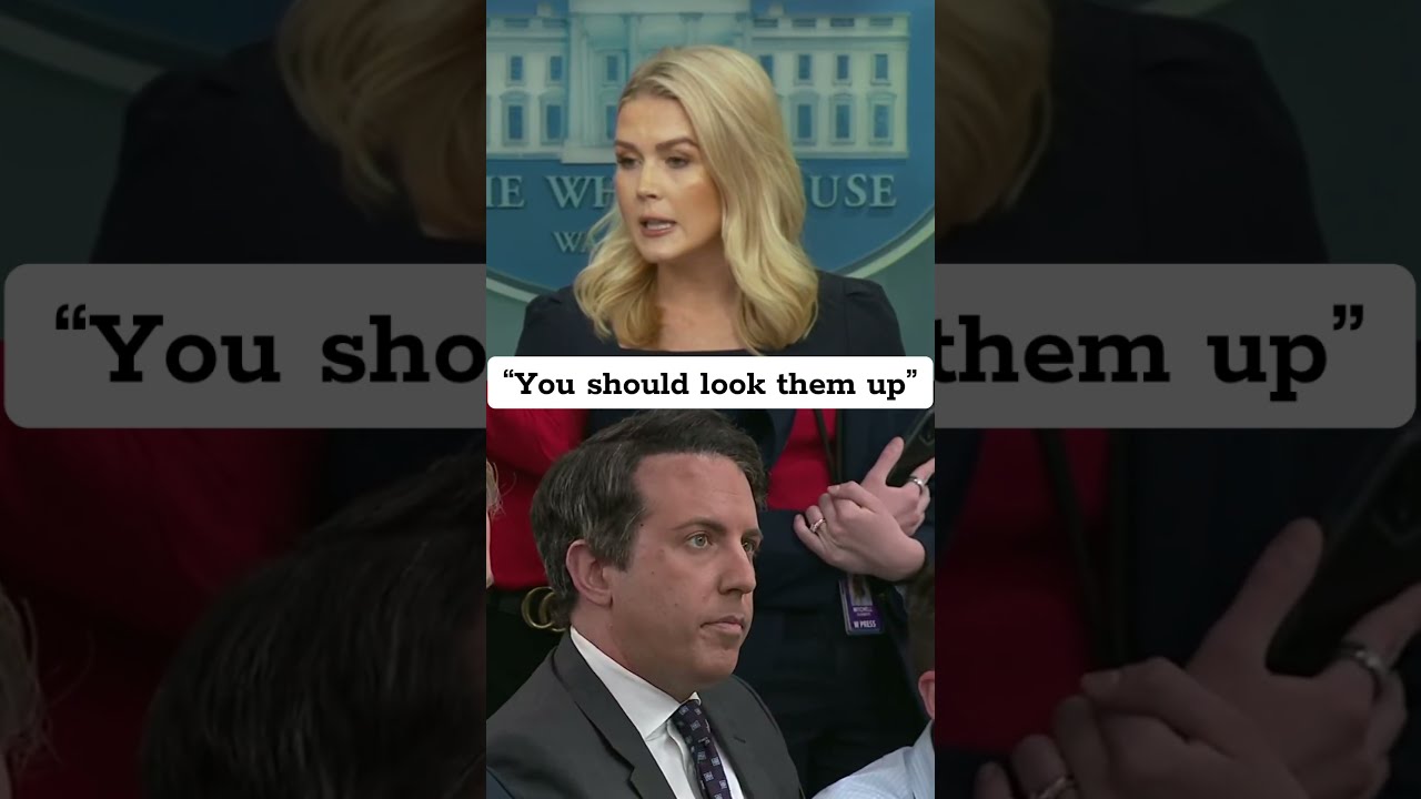 Karoline To NBC Reporter You Should Look Them Up 