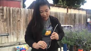 LIVE // Sunday Seshing with Dangle Supply 💚💨 Unbreakable Ultra-light Titanium Bongs & Pipes