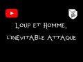 🐺 #shorts : Loup au milieu des humain, l&#39;attaque est inévitable... ou pas ! - Le Klan du loup (KDL)