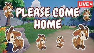🔴 PLUSHIE HUNTING / QUESTS / PALIA / LIVESTREAM