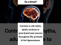 intresting facts about brain