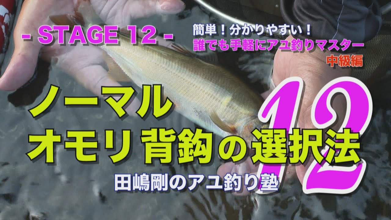 動画が追加されました！