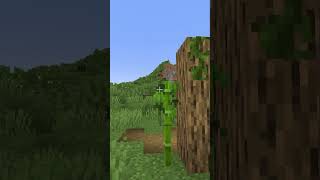 STOP Vines From Growing With This Trick...