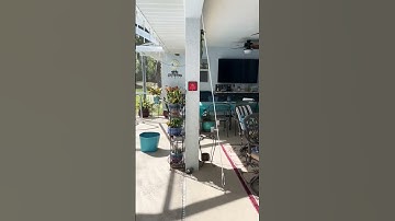 Certified Hooker! 🤣 #hook #shot #strings #ringtoss #game #beat #me #shorts #explore #asmr #toss