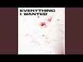 Everything I Wanted mp3