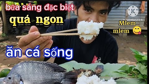 Bữa sáng của Teo cá rô phi nướng siêu ngon Tèo Vlog mlem mlem