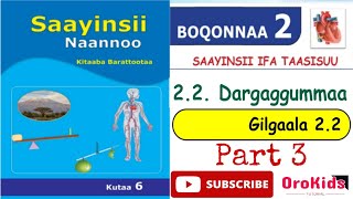 Saayinsii naannoo kutaa 6ffaa Boqonnaa 2 part 3