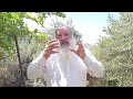 Parashát Tazria. “Completar el mundo incompleto”. Rab David Shalem. Centro Noajida Mundial.-