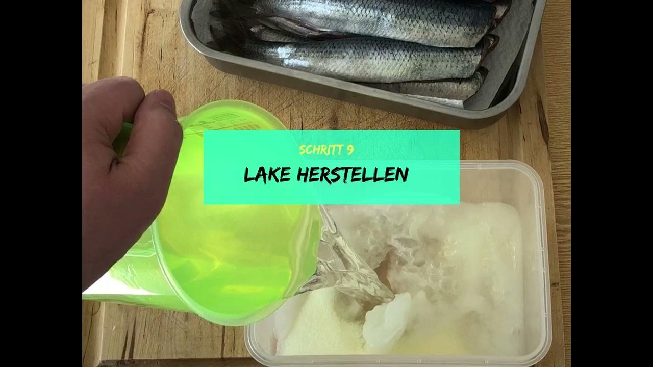 So geht Matjes Hering Matjes selber machen mit Ostseehering und