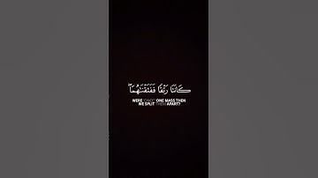 إبداع القارئ المجهول في آية ٣٠ من سورة الأنبياء #اكسبلور #المصحف #قران_كريم #راحة_نفسية #مجهول #قرآن
