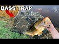 FISH TRAP for MASSIVE BASS FISH!