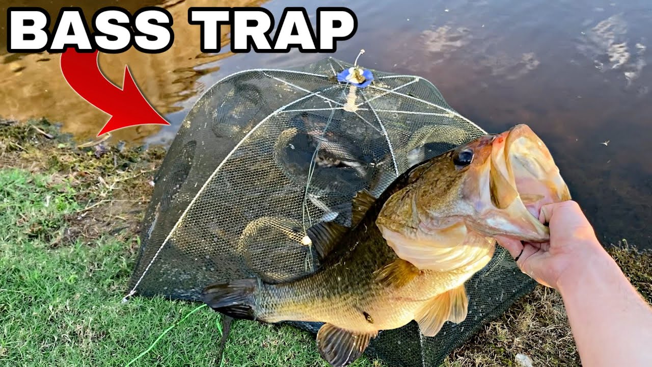 FISH TRAP for MASSIVE BASS FISH! 