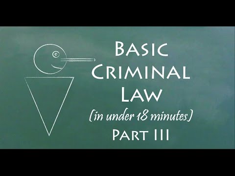 Understand Criminal Law in 18 Minutes (Part III)