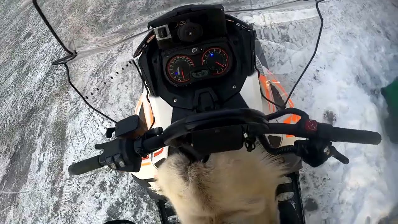 Lynx 49 Ranger 600ace