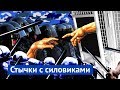 ОМОН и москвичи: задержания в центре столицы