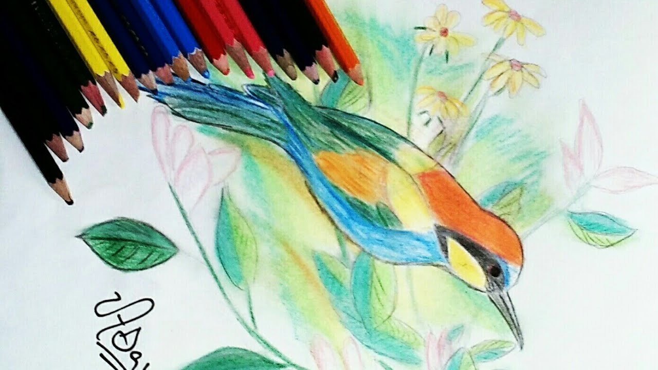 Bird painting with pencil colour - YouTube
