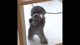 David Guetta Feat. Akon - Sexy Bitch [Slowed]