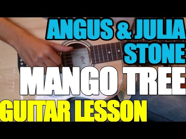 Mango Tree Angus & Julia Stone : Guitar Lesson class=