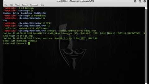 How to Connect to Vpnbook with OpenVpn on Kali Linux