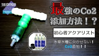 初心者アクアリストが最強！？Co2添加方法を導入してみた！#11【アクアリウム】