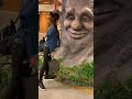 استغربت 