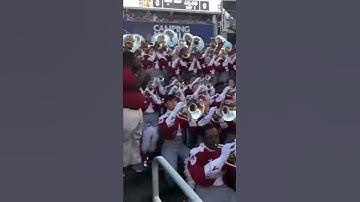 Thumbnail of 2018 09 01 Linda Flanagan Yea, Alabama in the stands