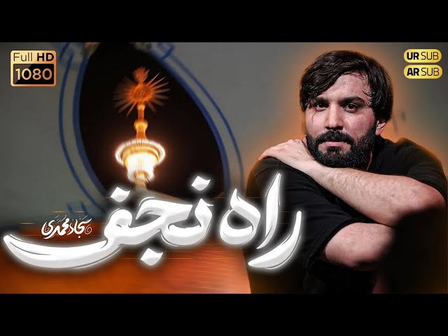 راه نجف | منم غلام حضرت شاه نجف  دل علی | دلبر علی | رهبر علی جان علی جانان علی روح علی . . .