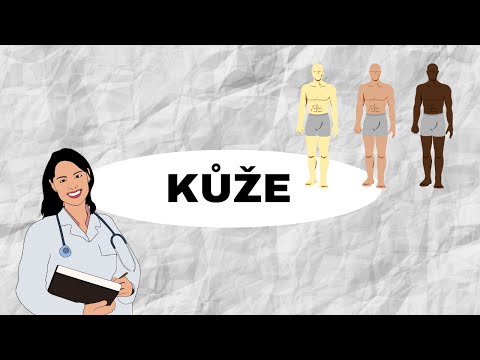 Video: Kde byste našli mazové žlázy?