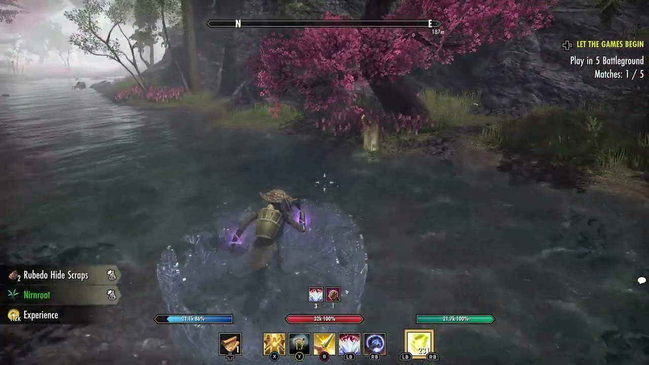 ESO Bug: Cannot Take Torchbug After Collecting Water Hyacinth