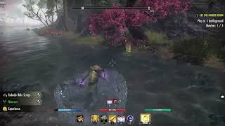 Eso Bug Cannot Take Torchbug After Collecting Water Hyacinth