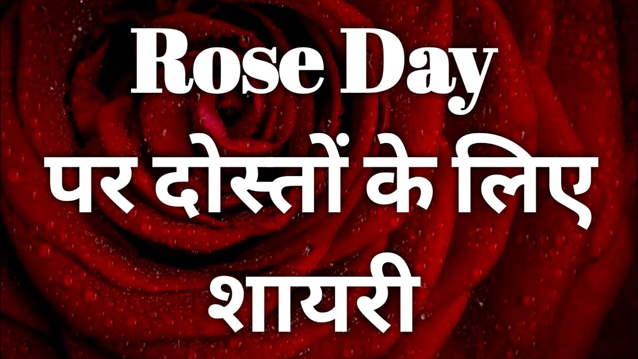 HAPPY ROSE DAY TO ALL MY DEAR FRIENDS - YouTube