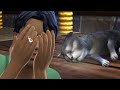 my sims cat died so i'm quitting