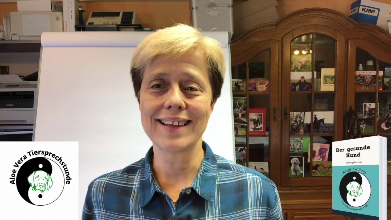 Hat dein Hund Sodbrennen & warum sollte ich keine Heilerde geben !