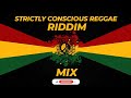 Strictly Conscious Reggae Riddim | Reggae Mix 2024