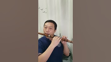 Thumbnail of E key dizi flute practice 《Night in May》Hungary song @Dan Tang