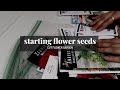 How to start flowers from seed | Varieties for cut flowers, tips + tricks | GroundedHavenHomestead